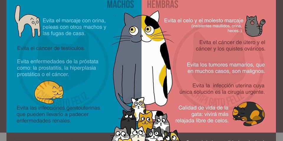 cer método CER Huércal