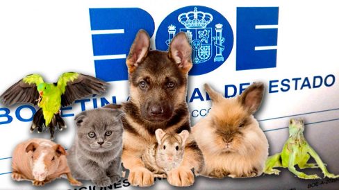 Sensibilidad legal y animal.