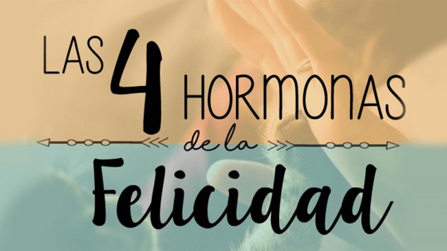 las-4-hormonas-de-la-felicidad las 4 hormonas de Felicidad