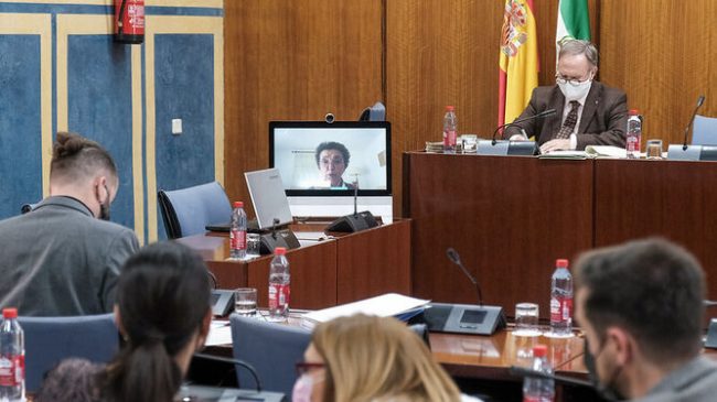 comisión mujer discapacidad Andalucía.