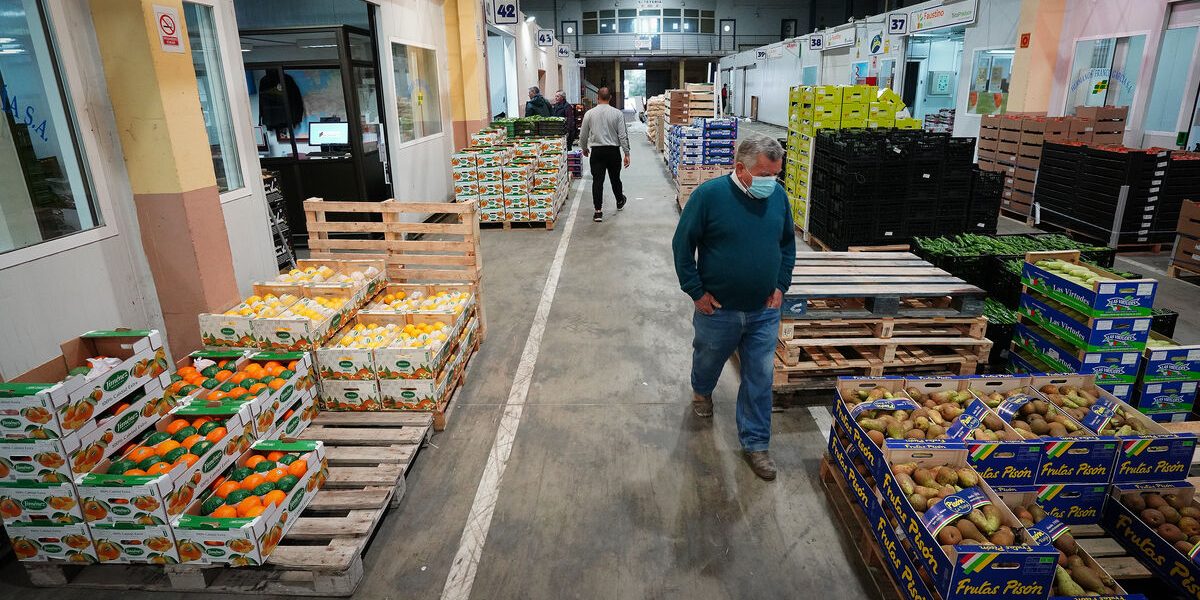 Segundo-dia-huelga-transporte-Jerez 1665443789 153782099 1200x675