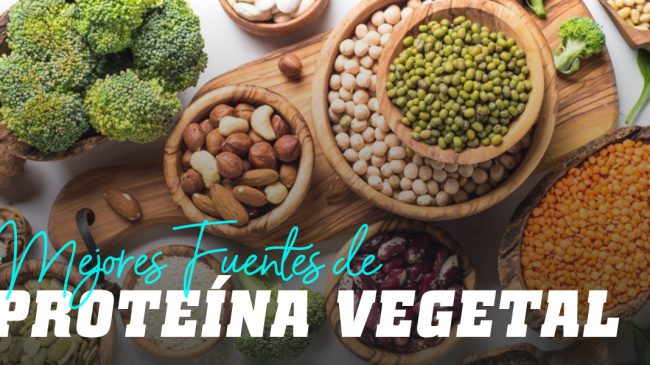 mejores-fuentes-proteina-vegetal Transmisión Vegana en DDR.