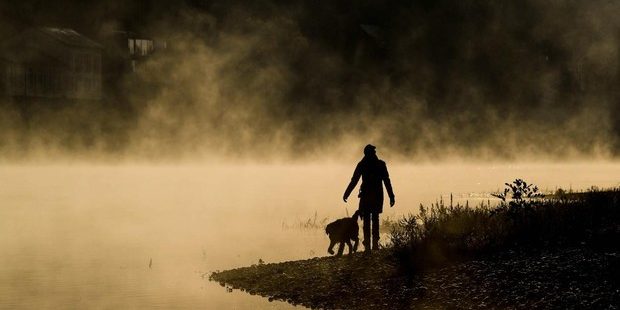 perro-salud-kfdG–620×349@abc peludos y calima