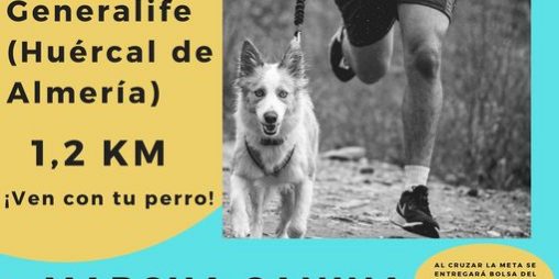 279785442 365888995574050 2651156282933296428 n (1)