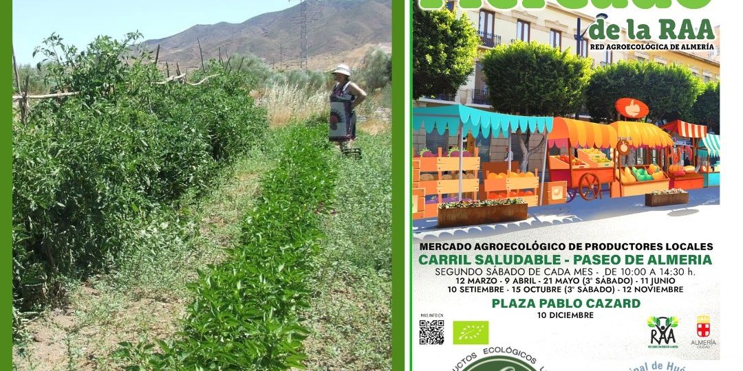 305116684 528264462437181 73661829588150019 n