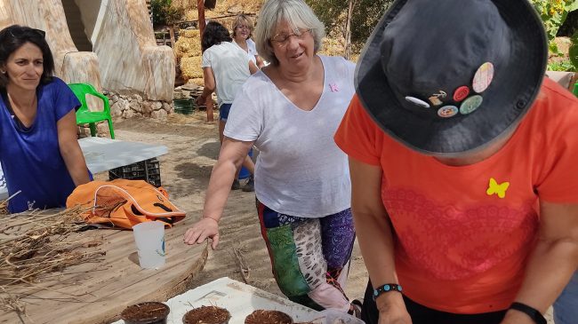 305893446 1525417381211141 3688724217047264114 n