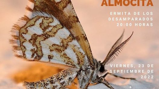 306700623 5441994792556299 3331925107126826050 n