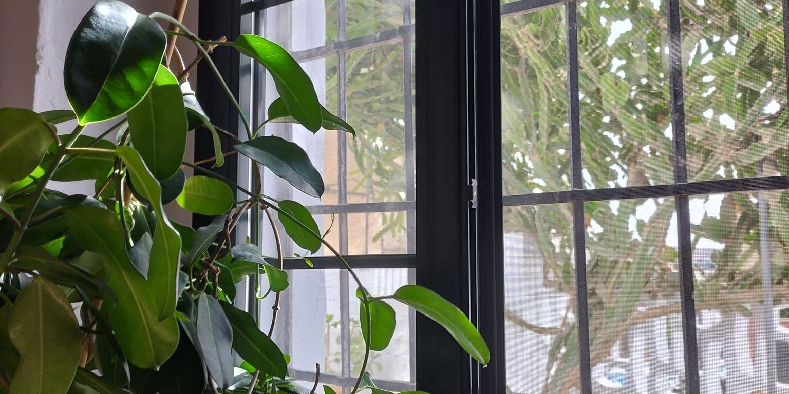 299122799 113568771459827 8055875484896396408 n