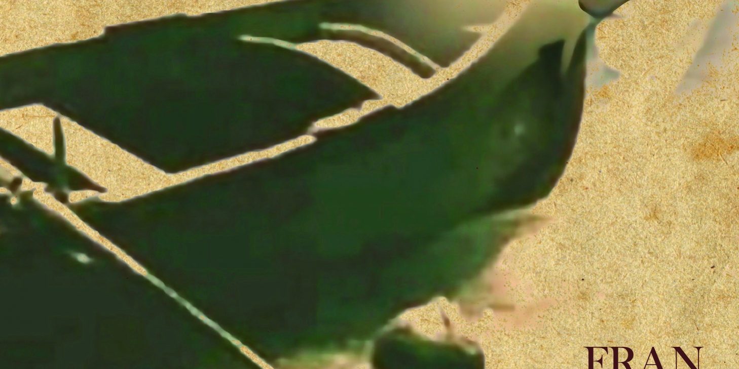 310659007 1944630009074986 9019386202047775579 n