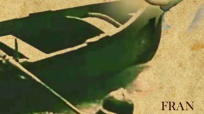 310659007 1944630009074986 9019386202047775579 n