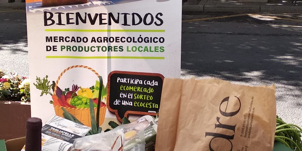 311308084 192856859779443 3655793686137061121 n (3)