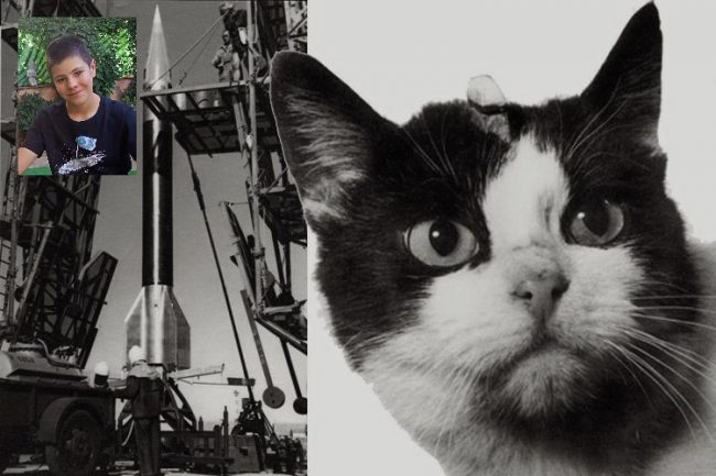 felicette2 si Laika Hablara - La gata astronauta Felicitte