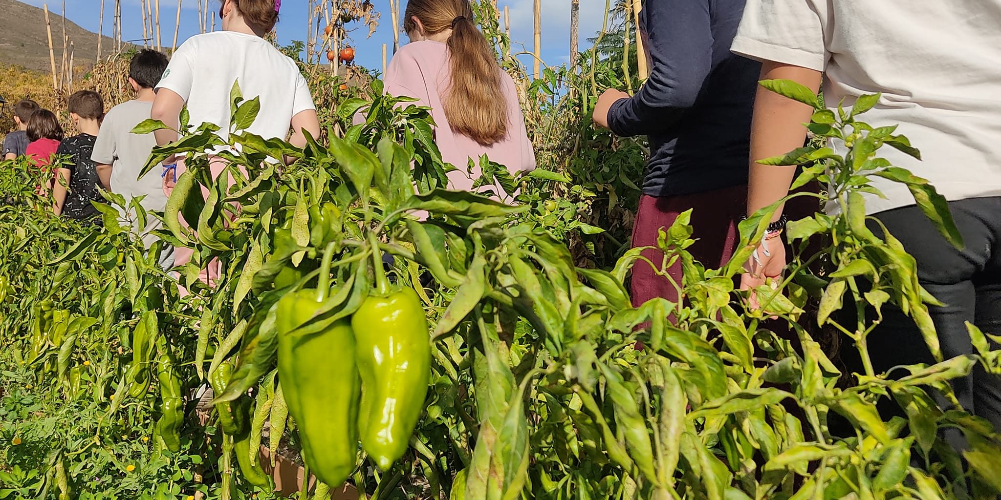 314942244 1574955439590668 7132901668895326214 n