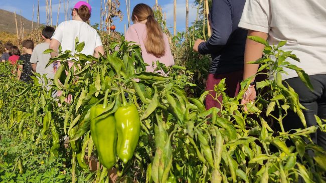 314942244 1574955439590668 7132901668895326214 n