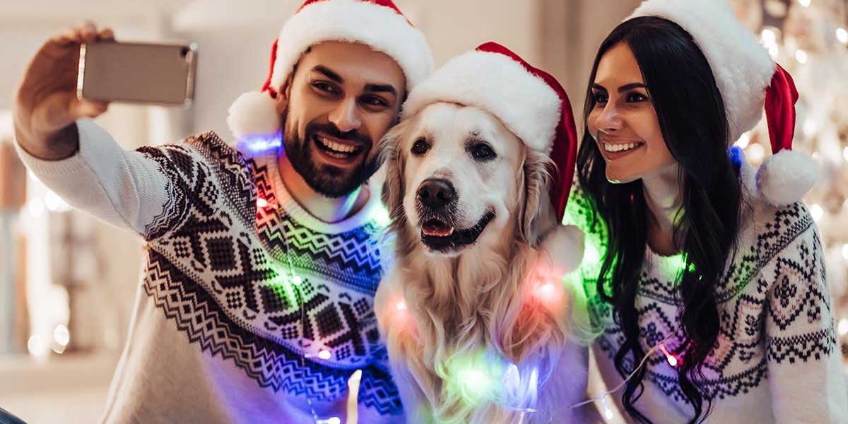 como-cuidar-mascota-navidad-5-consejos-debes-tener-en-cuenta-873147