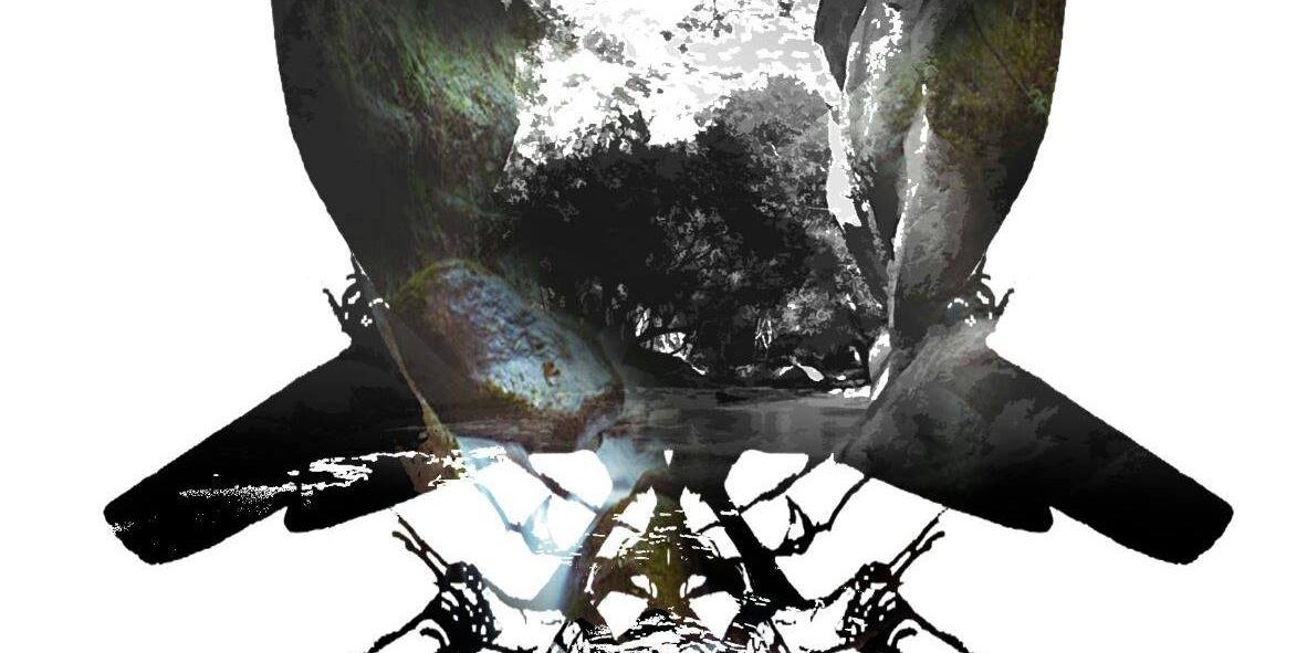 305397207 402619611986689 4659255337399258891 n