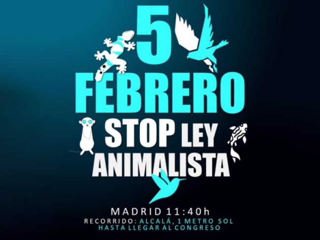5-febrero
