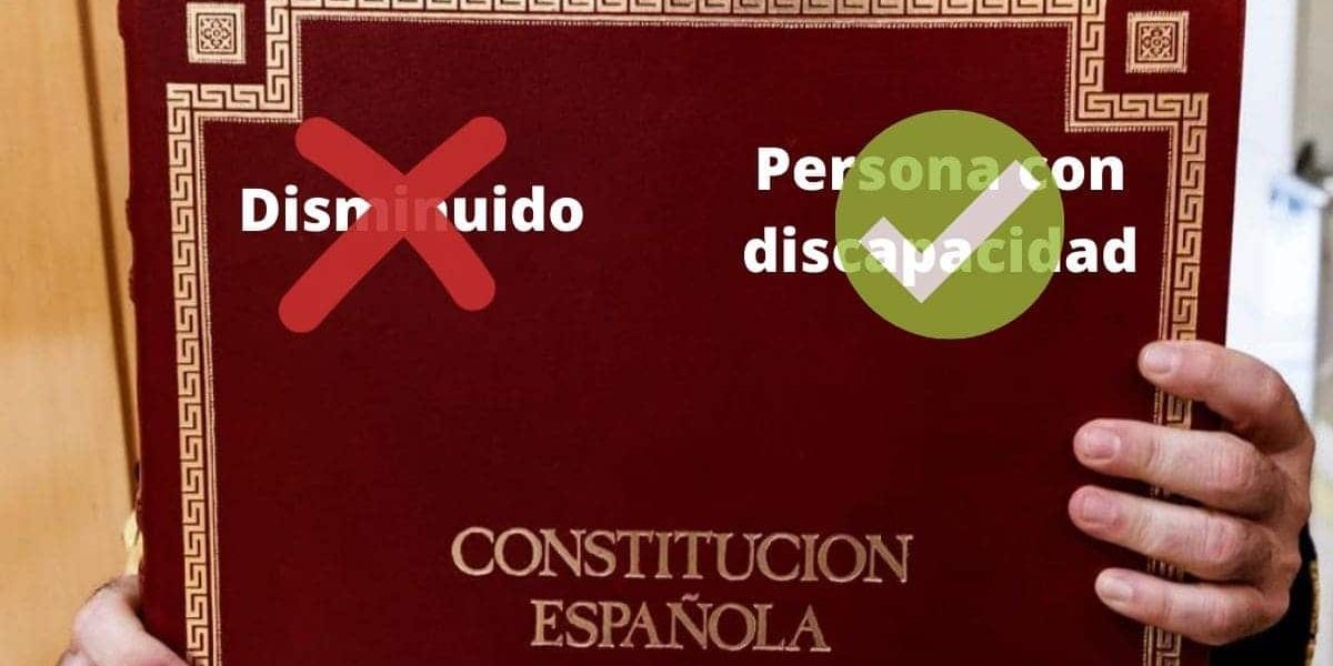 disminuido-persona-con-discapacidad-constitucion