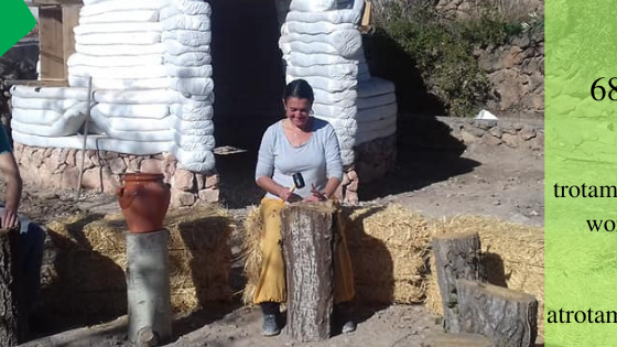 274861211 1394872524265628 2233434590245765223 n