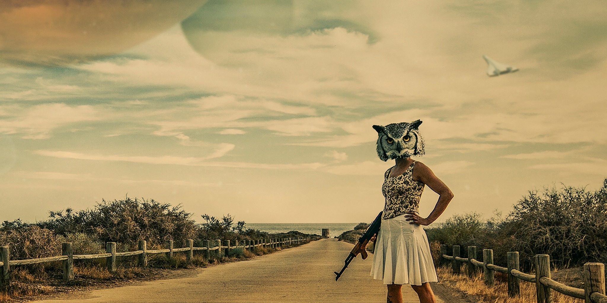 310224023 530303599103300 8216056662995533287 n