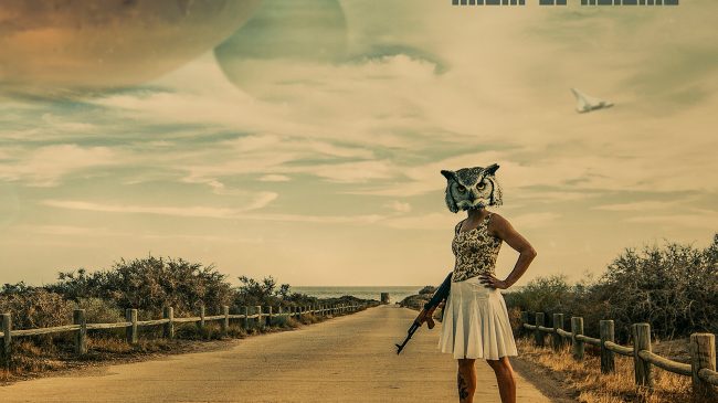 310224023 530303599103300 8216056662995533287 n