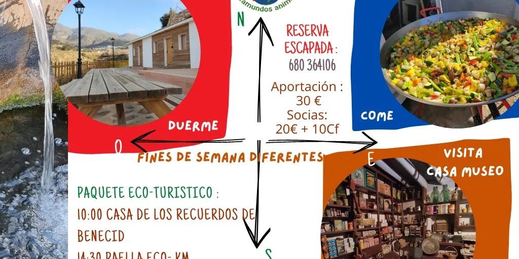 334758595 536928601899813 2999498754214355075 n