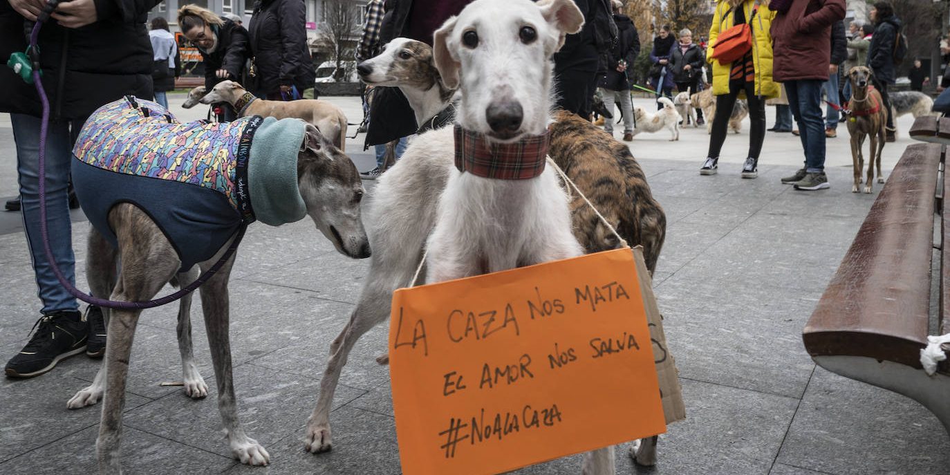 ley-proteccion-animal