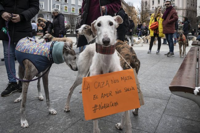 ley-proteccion-animal
