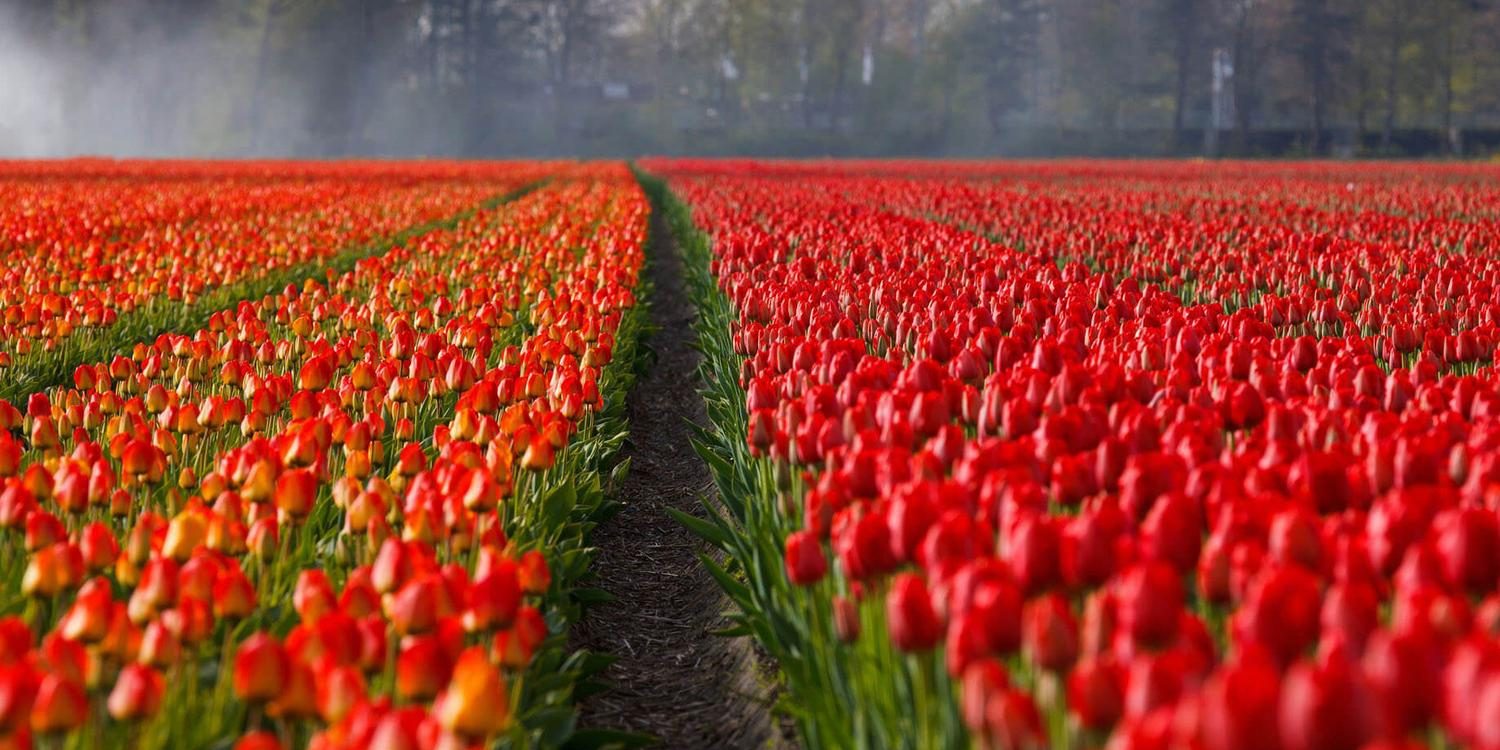 10423741486990208438