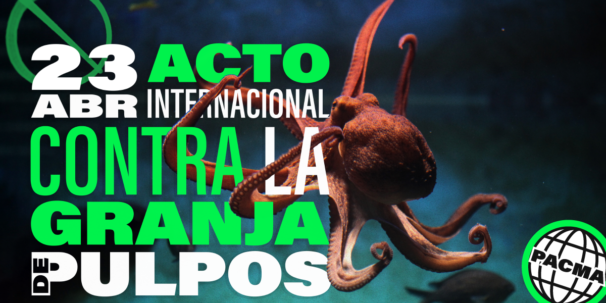 2023-02-Cartelas-Acto-contra-las-granjas-de-pulpos Horizontal