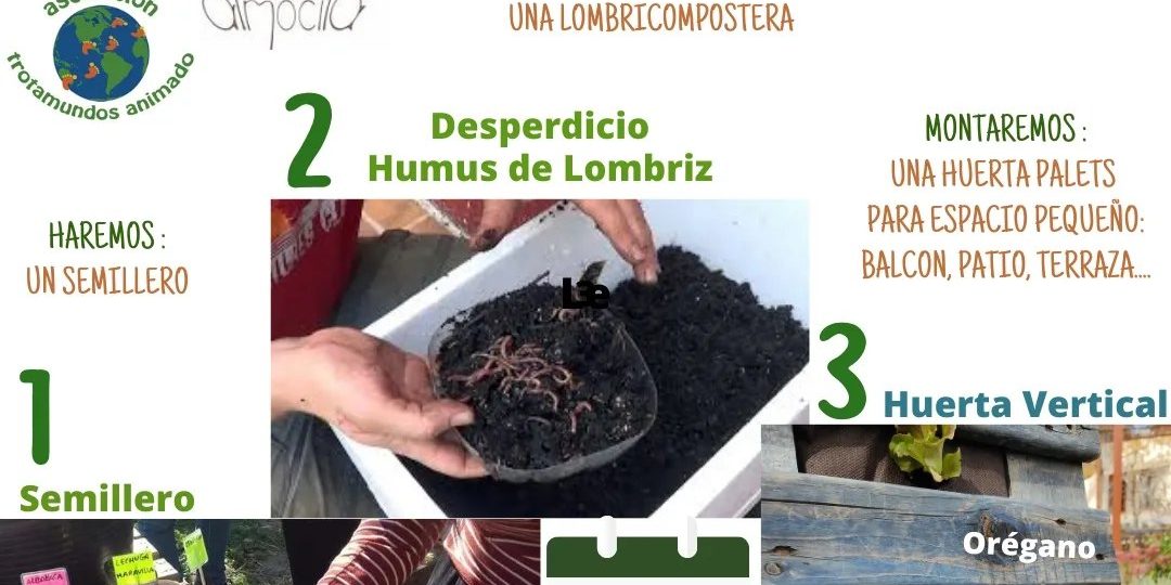 339326554 1277938086488773 6865864435727266809 n