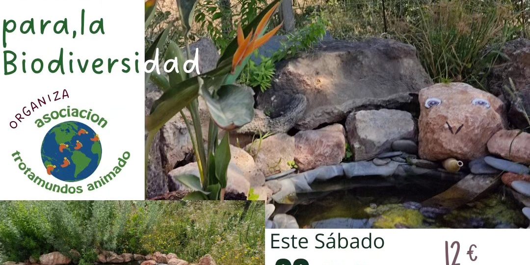 342204014 3426959870854327 2928169067171711442 n