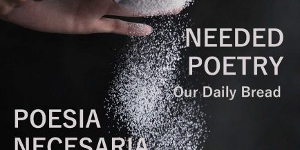 1677537210 portadapoesianecesaria bilingue epub 2