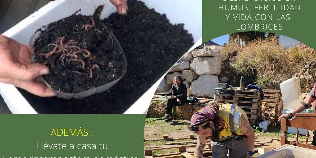 70068328-cf2d-4900-ba9f-d0ab1a51034e