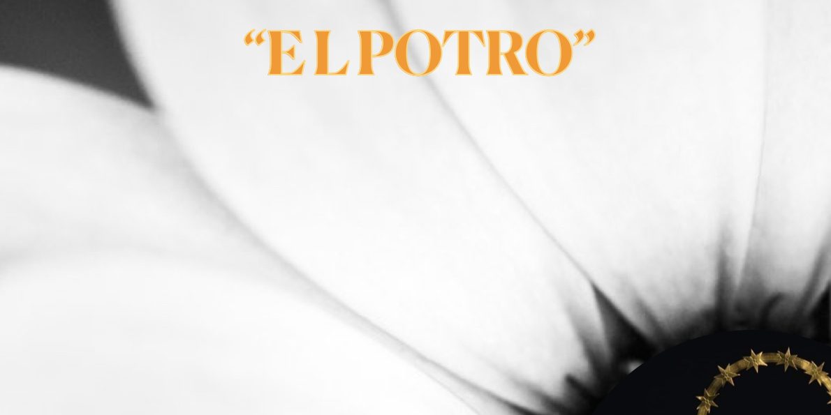 358410382 291369243456143 6213630546872740933 n (2)