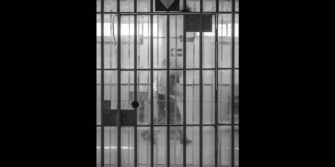 d4970047-0f7a-4ac8-952a-6d292efe8592