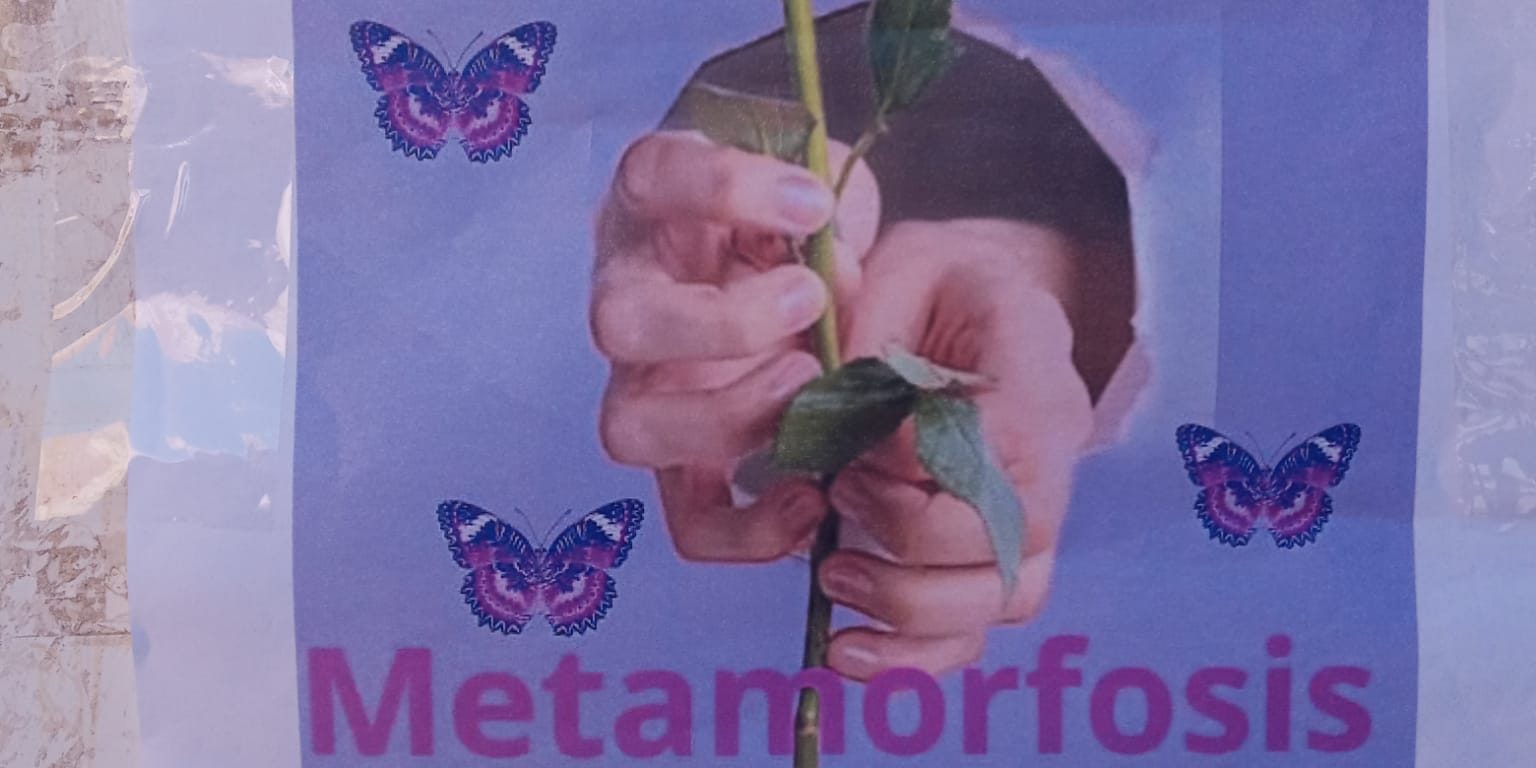 68c4b587-075d-4c91-9b2a-04d2485c253c