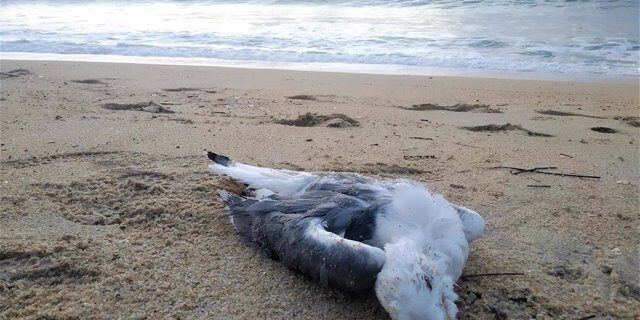 fotonoticia 20220721174051 640