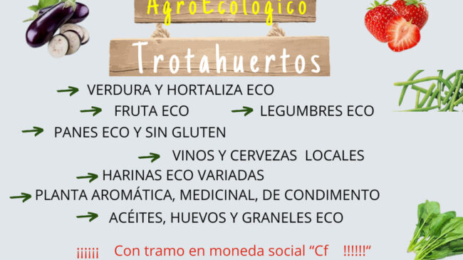 425818238 1851706448582231 6455444561411304808 n