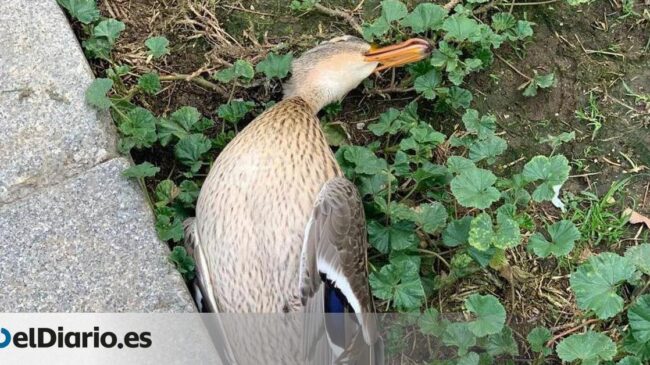 56bad07d-9ecb-4a24-a1b3-d41bfbfe399c facebook-watermarked-aspect-ratio default 1090088