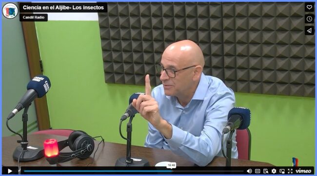 Ciencia Aljibe – hormigas Ciencias aljibe- Las hormigas