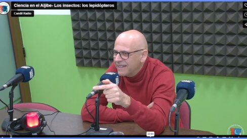 Ciencia en el Aljibe- Los insectos: los lepidópteros