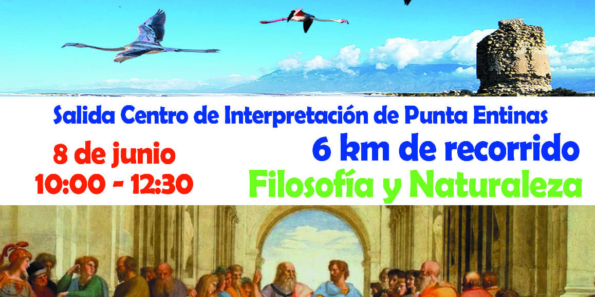 441489876 884187256851124 6057399527097566471 n