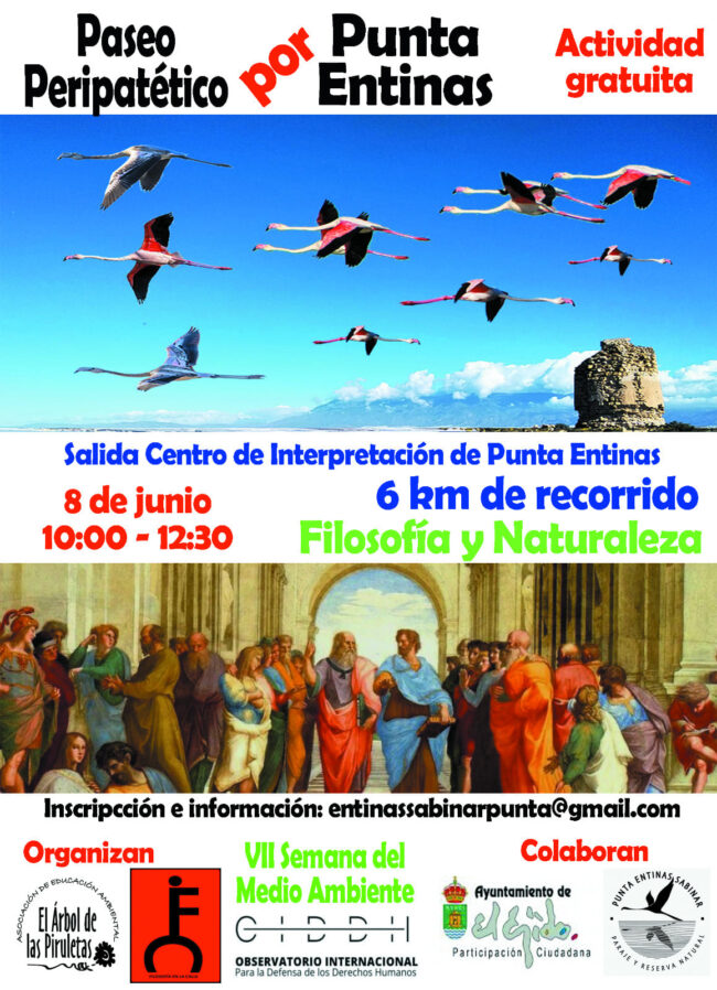 441489876 884187256851124 6057399527097566471 n