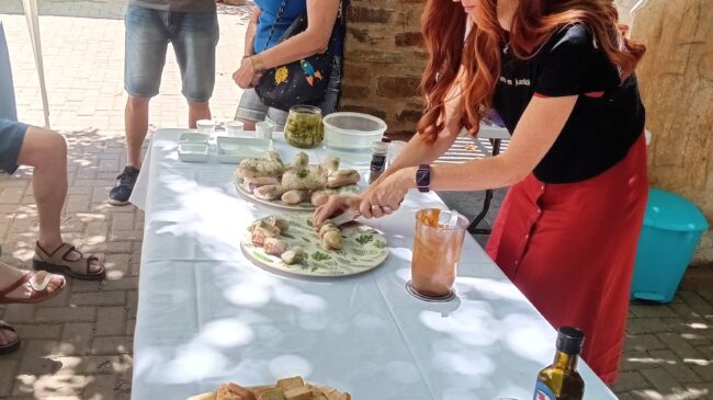 449053085 26000759066236642 329980389295276328 n