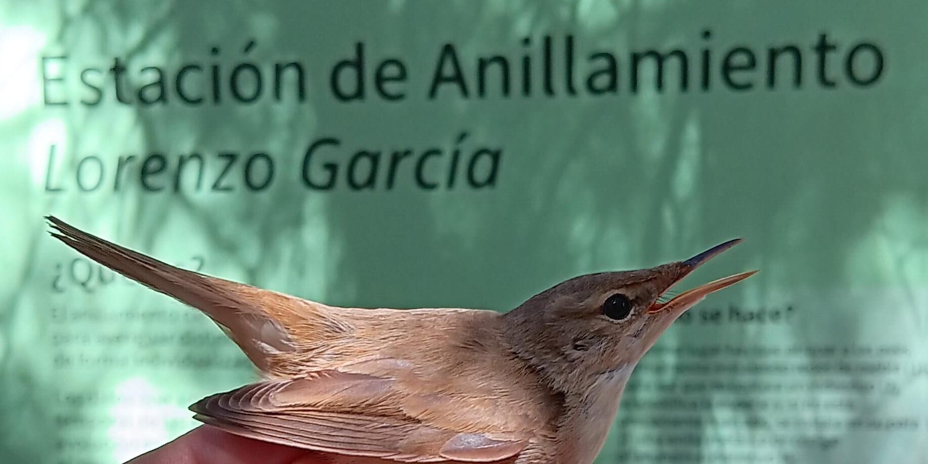 a9f7e463-eb1e-45b6-8517-2bbe2c96599b