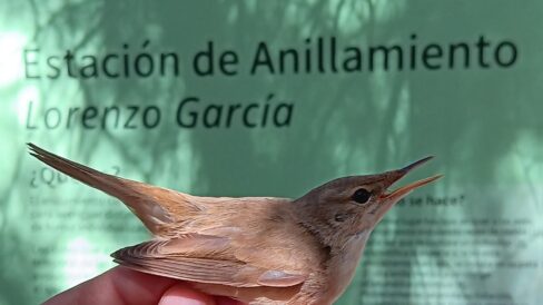 a9f7e463-eb1e-45b6-8517-2bbe2c96599b