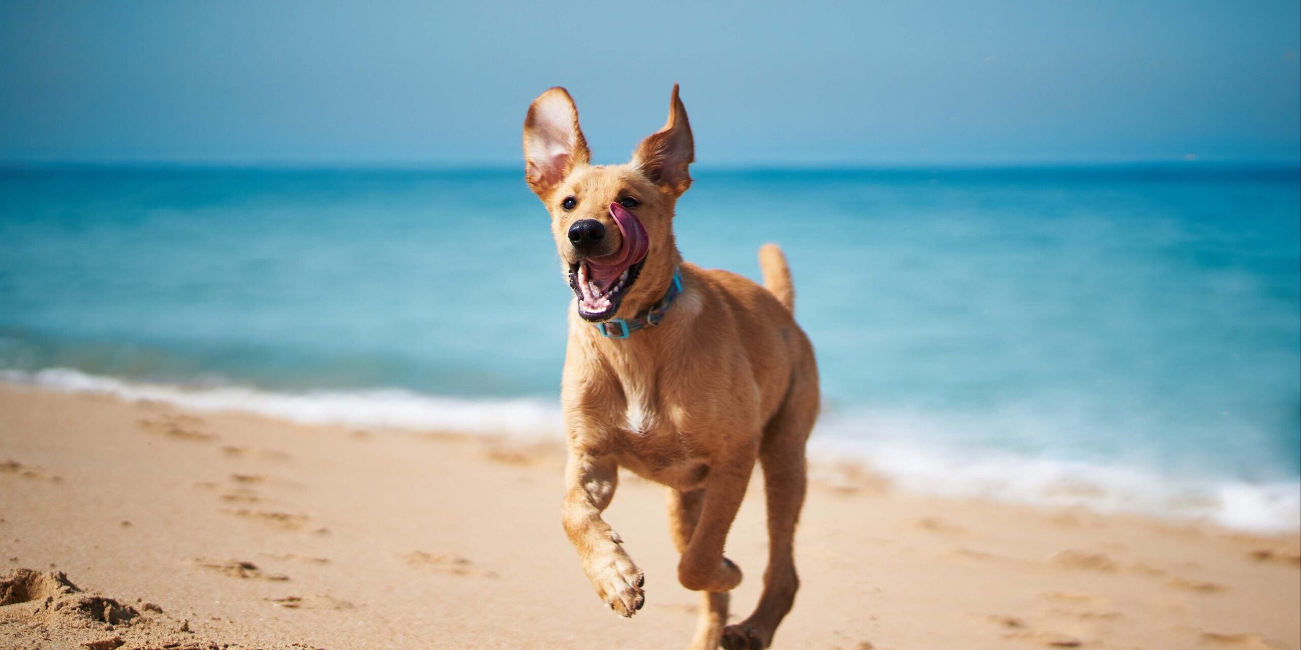 iStock-1327737045