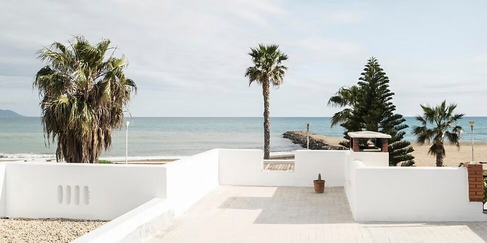 493723596 1233071925485757 1690097423722550844 n