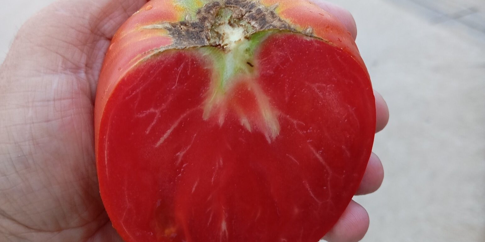 540672723 2285615885191283 1952614519501540118 n